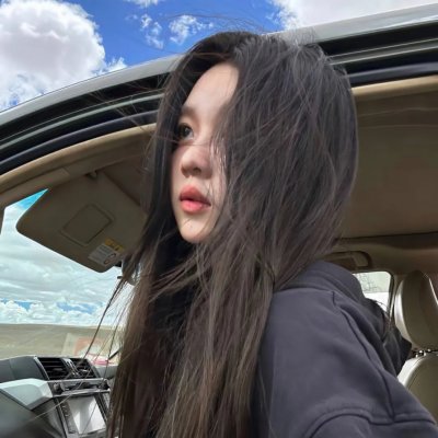 黑之契约者2:流星的双子